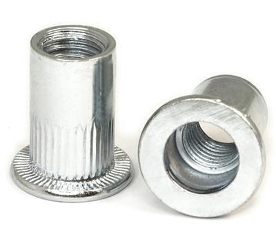Chinese Wholesale Blind Rivet Nut with High Quality