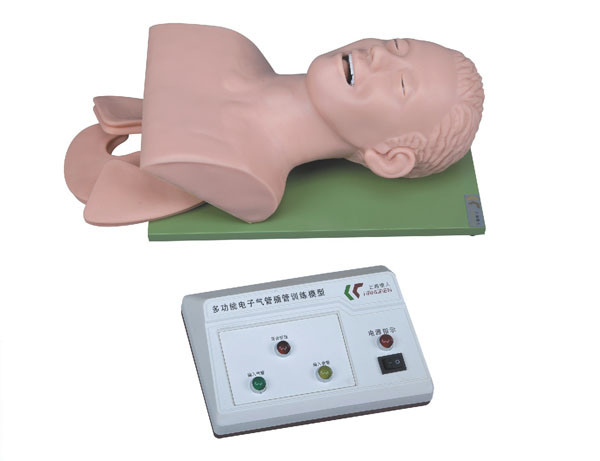 Xy-3 Electronic Trachea Intubation Training Model