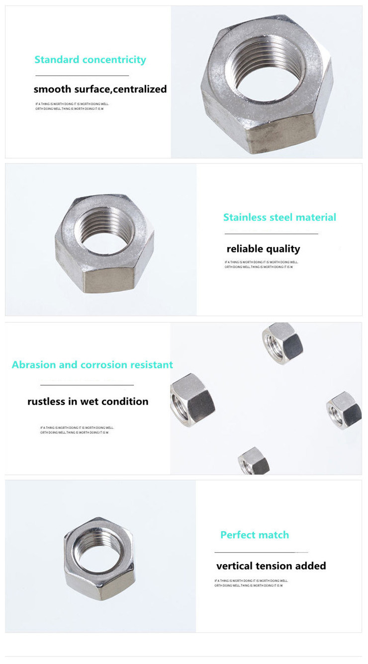 Stainless Steel 304 316 Hexagon Thick Nut