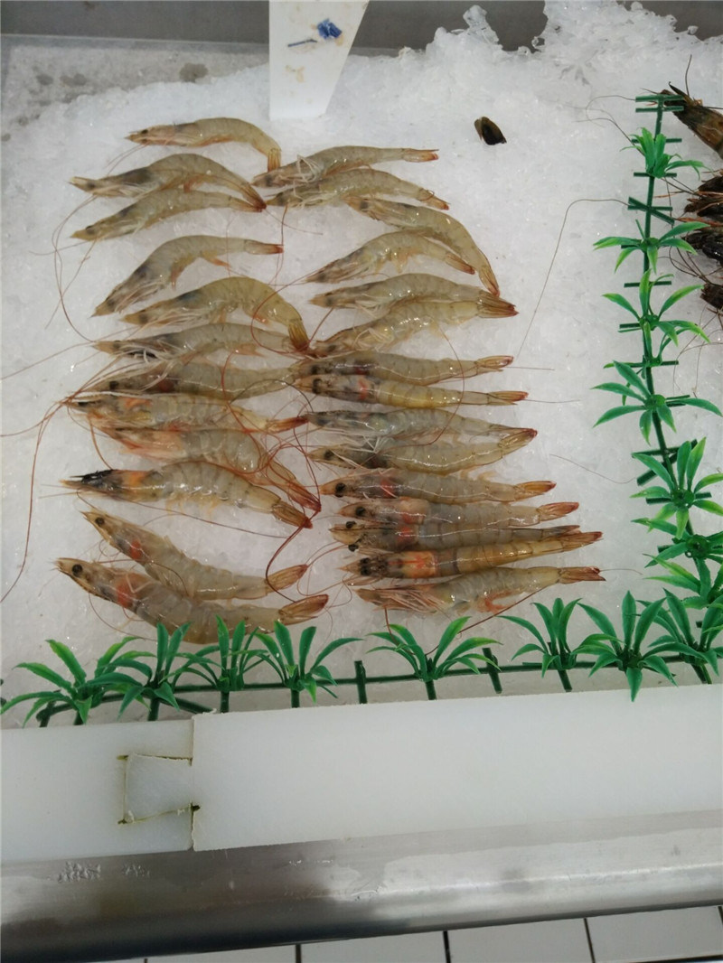 500kg/Day Seafood Restaurant Equipment Price List