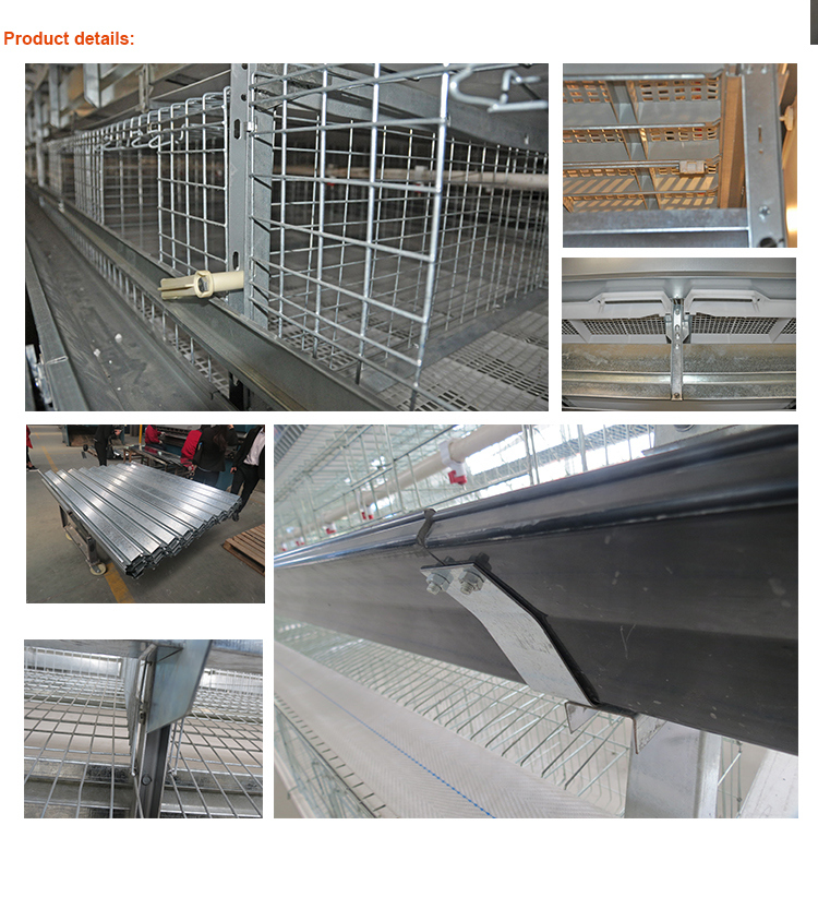 Fully/Semi-Automation Lower Cost Price a-Type Chicken Cage Equipment