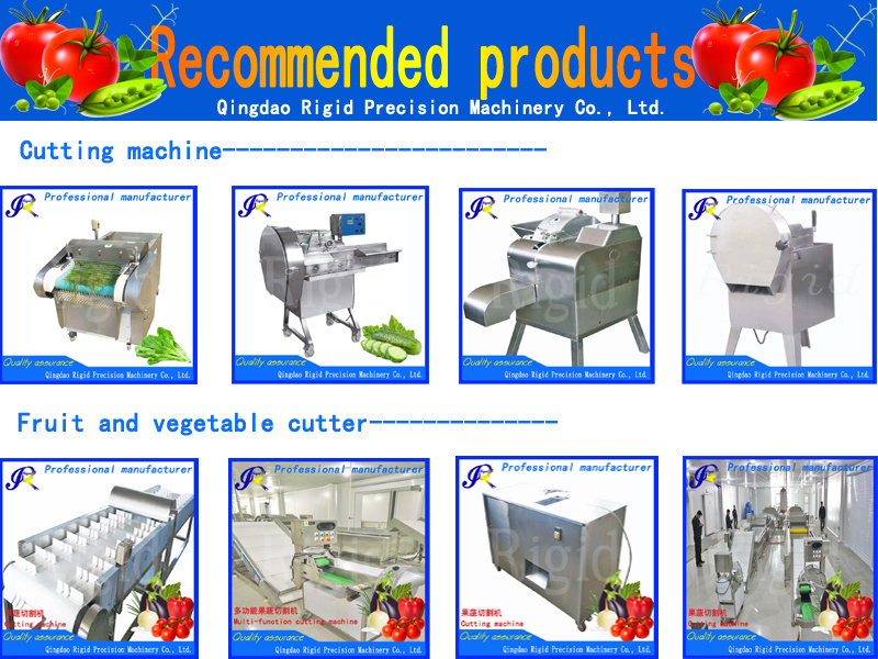 Agricultural Product Processing Machine Fruit and Vegetable Cutting Machine