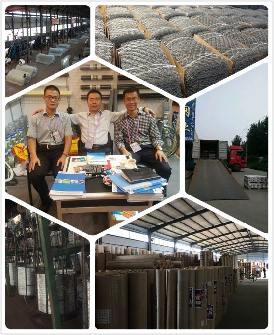 Galvanized Gabion Welded Wire Box