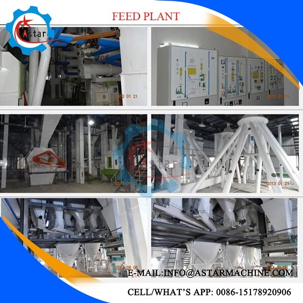 Chicken Poultry Cattle Livestock Complete Animal Feed Line