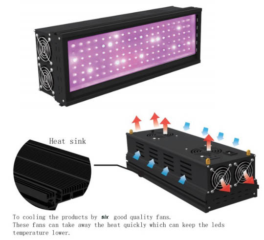 LED Grow Panel Light for Plants/Fruit Wholesale Supplier