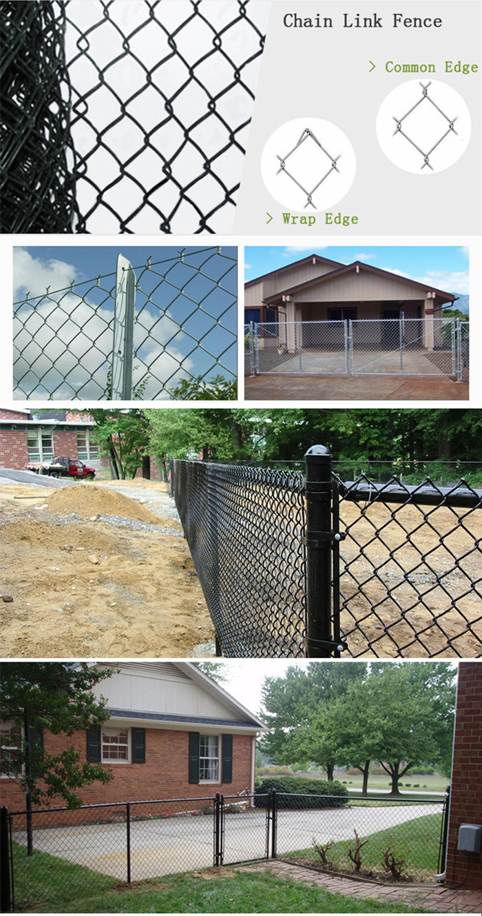 PVC Galvanized Woven Wire Mesh Chain Link Fence for Playground