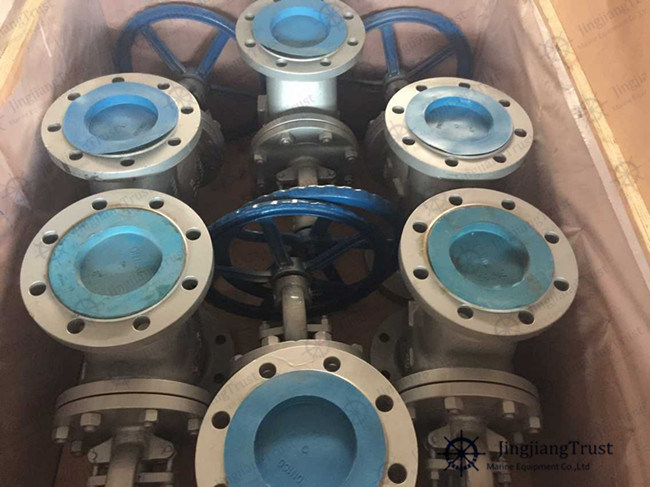 Cast Steel or Stainless Steel Flange Manual Globe Valve