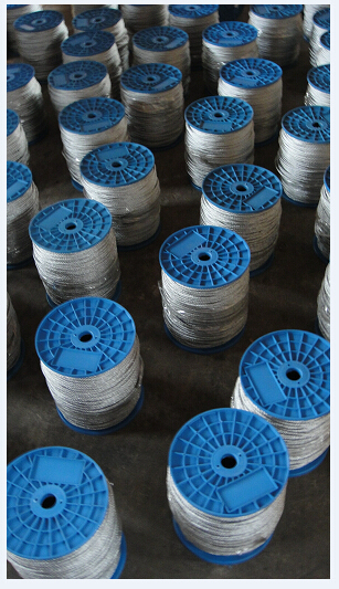 Cheap Price Galvanized Steel Cable 6X7+FC with Plastic Reel Packing