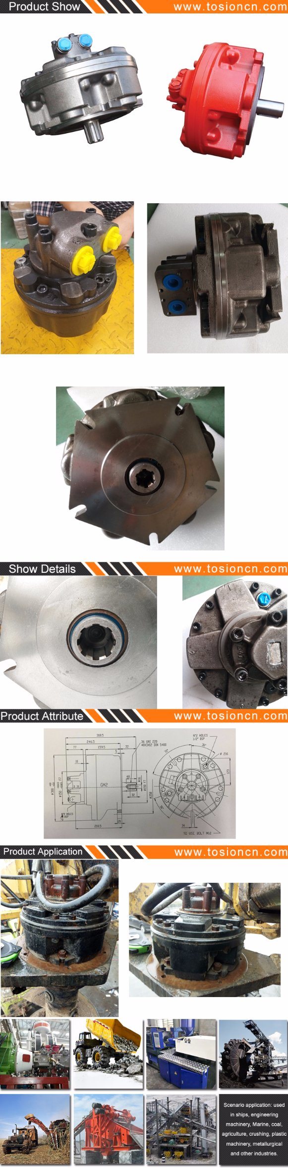 China Tosion Brand Sai GM05 Motor Parts for Sale