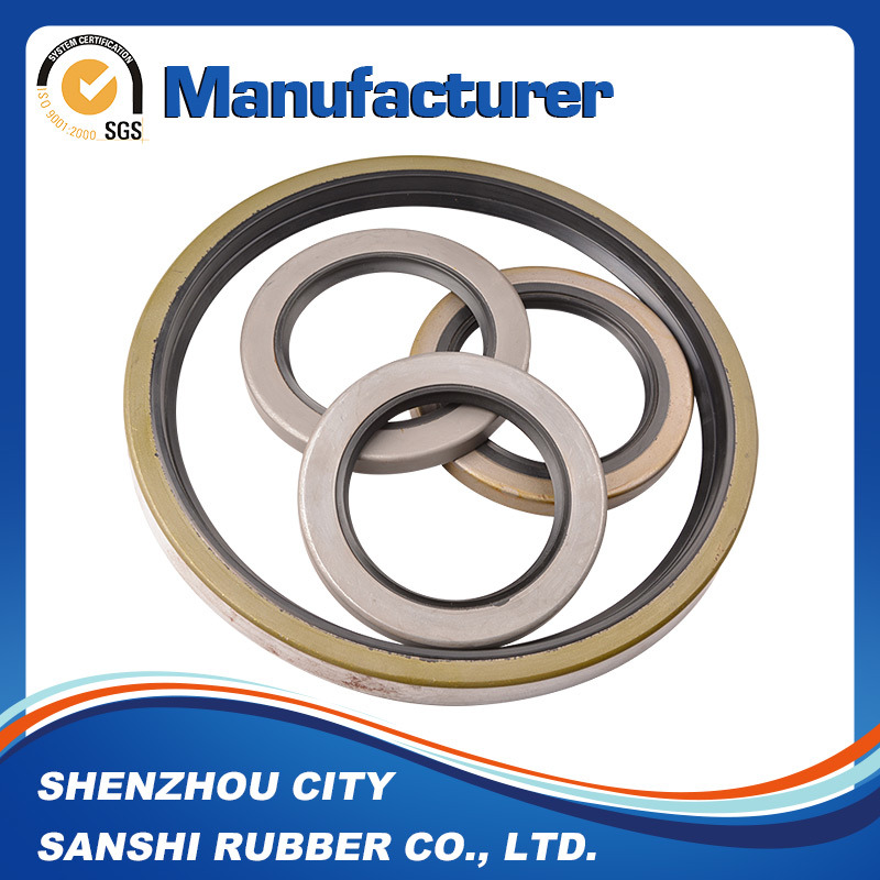 Tg Oil Seal / Tc Oil Seal /Tb Oil Seal