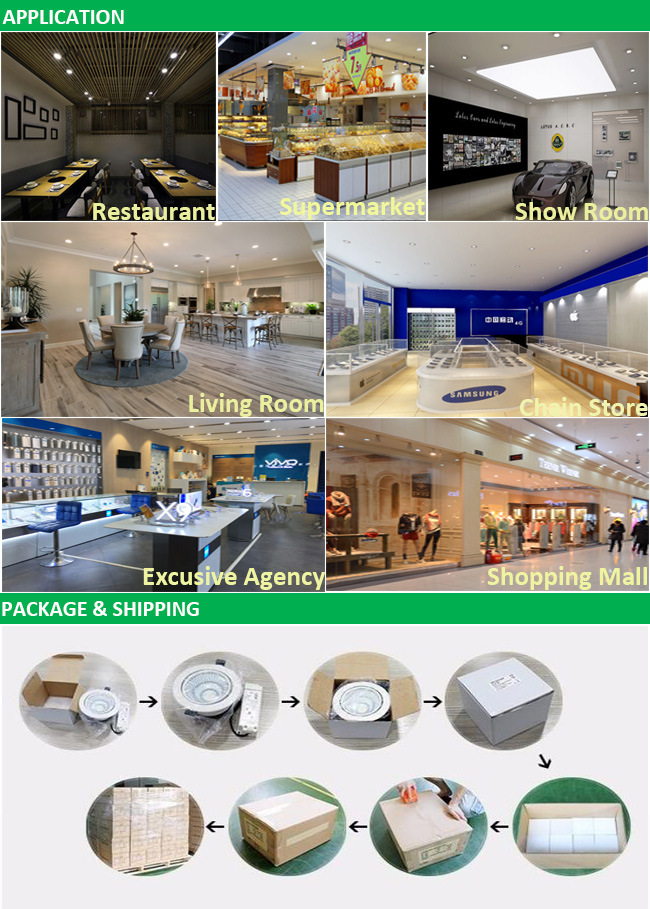 Modern Decoration Lighting Ce 10W Recessed Downlight LED Ceiling Lights