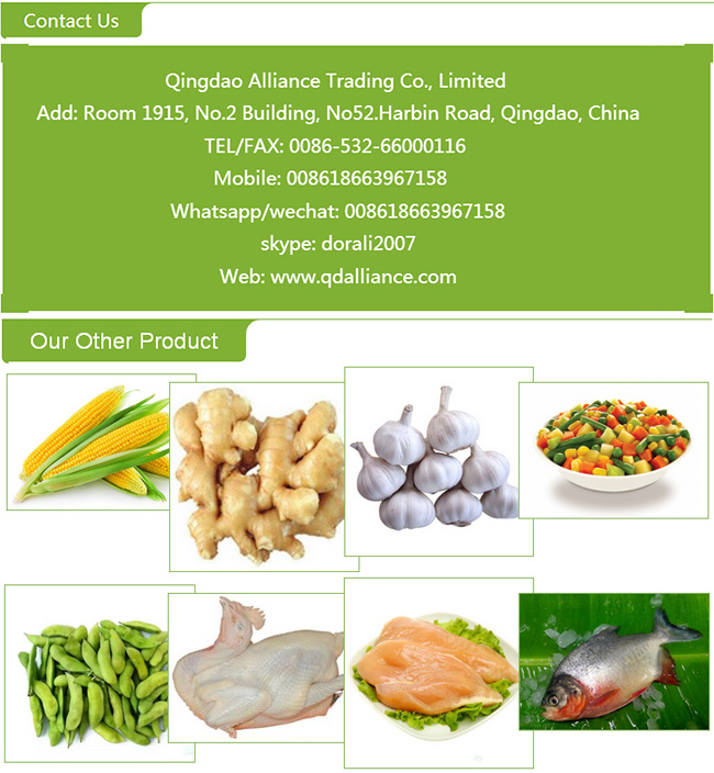 New Crop High Quality Frozen Garlic Puree Tablet