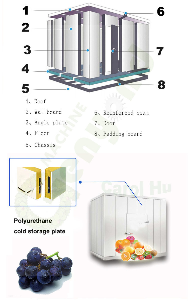 Gyc Cold Storage Freezer Room for Fruits and Vegetables Potato Milk Meat Chicken