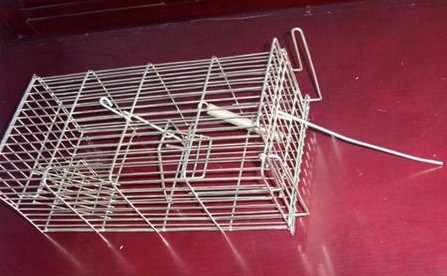 Humanistic Hunting Live Animal Trap Cages for Catching Rats/Mink/Rodent