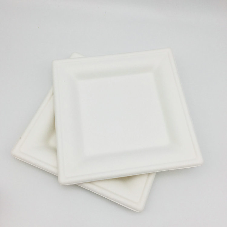 100% Biodegradable Disposable Bagasse Sugarcane 8 Inches Square Tray for Food