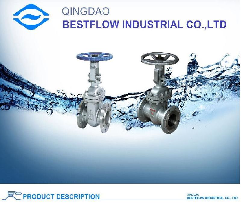 High Quality Handle Lever Carbon Steel Flanged Gate Valve Dn100