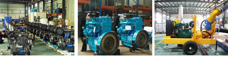 Electric Fuel Transfer Pump Self Priming Metering Pumps