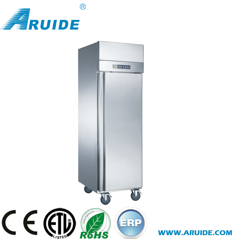 Fan Cooling SUS304 Commericial Refrigerator with Ce and UL (D0.5LFC)