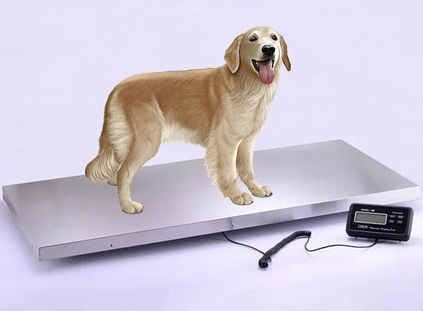 Large Digital Electronic Pet Floor Scale Veterinary Animal Weight Dog Cat Health