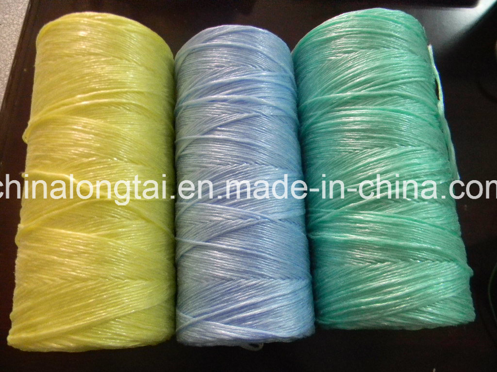 Biodegradable PP Packing Rope/PP String/PP Raffia