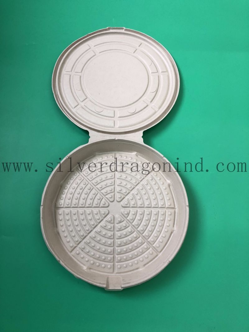 Compostable Sugarcane Pulp Paper Tray for Party