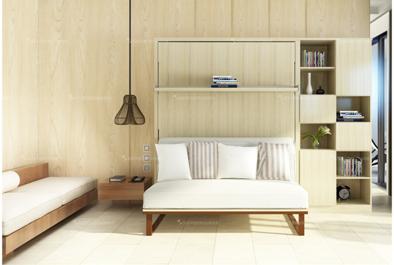 Modern Murphy Wall Bed with Living Room Sofa
