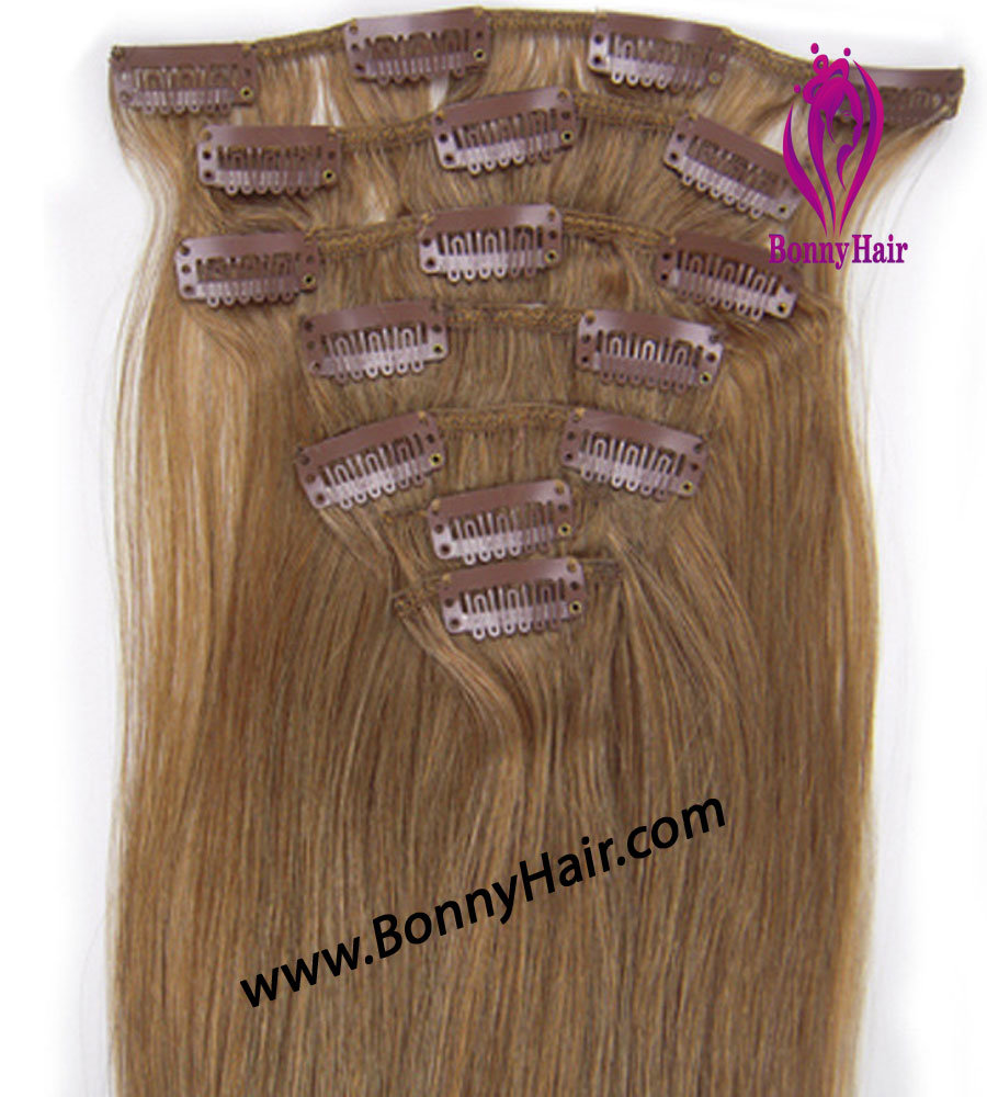 Discount Price Indian Human Remy Hair Clip on Hair Extension Human Remy Hair