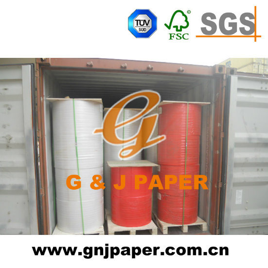 100% Wood Pulp Carbonless Paper Reel in China