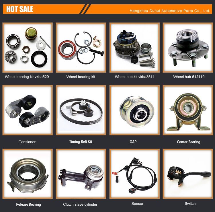 Auto Parts Rear Axle Wheel Hub Bearing 333501118 for Volkswagen