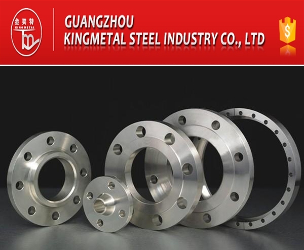 A182 F6a/F347/F91/F12/F51 Duplex Stainless Steel Flange