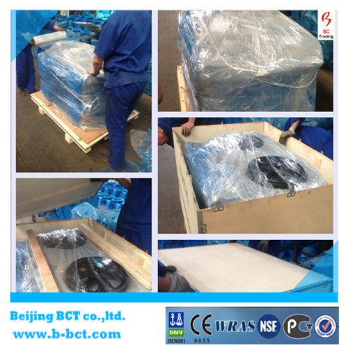 Eccentric Hydraulic Control Butterfly Type Check Valve BCT-E-HCV-1