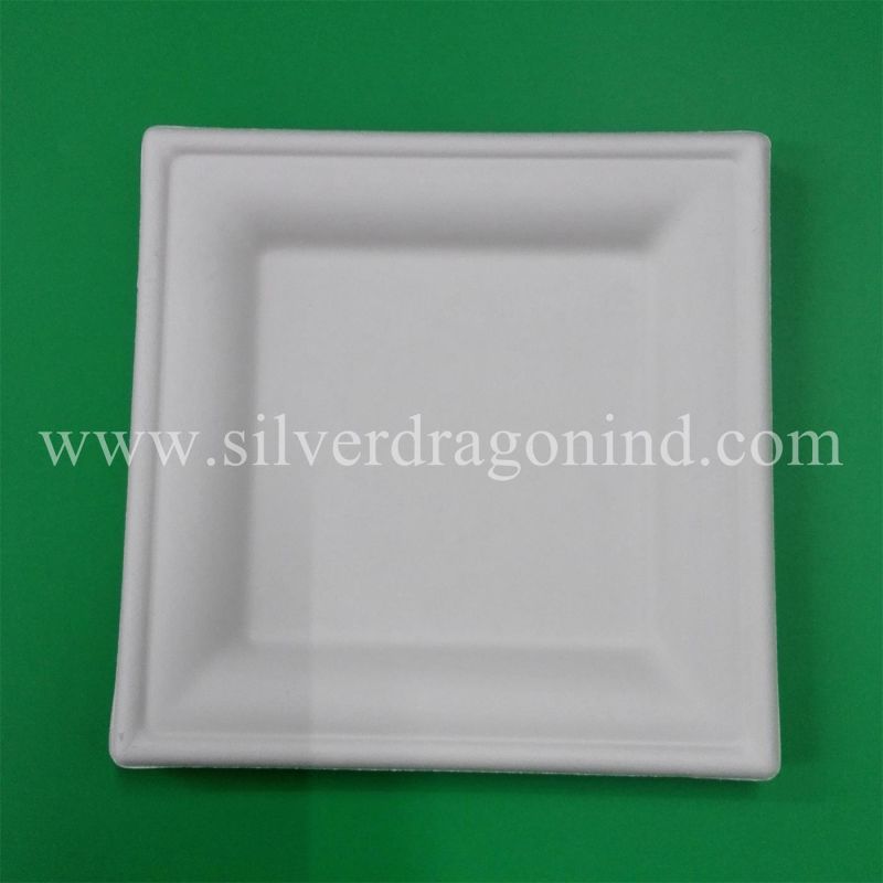 Food Grade Biodegradable Sugarcane Pulp Paper Disposable Plate