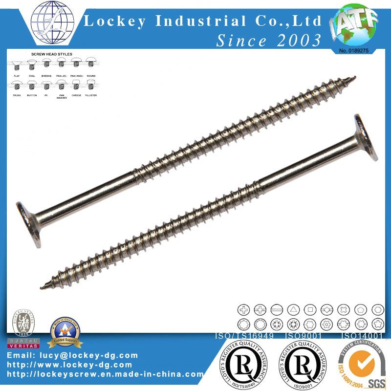Stainless Steel Screw Stainless Steel Self Tapping Screw