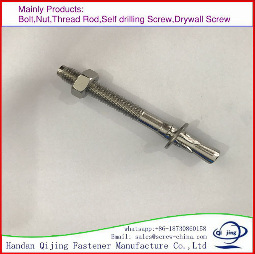 Stainless Steel 316 Wedge Anchor Bolt M10X100