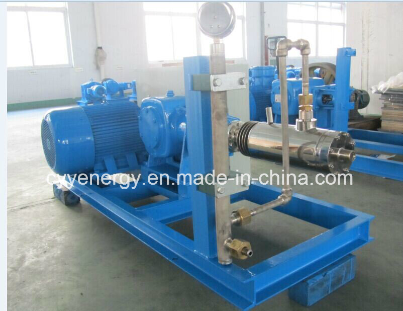 High Pressure Piston Pump for Liquid Oxygen Nitrogen Argon LNG CO2 with Competitive Price