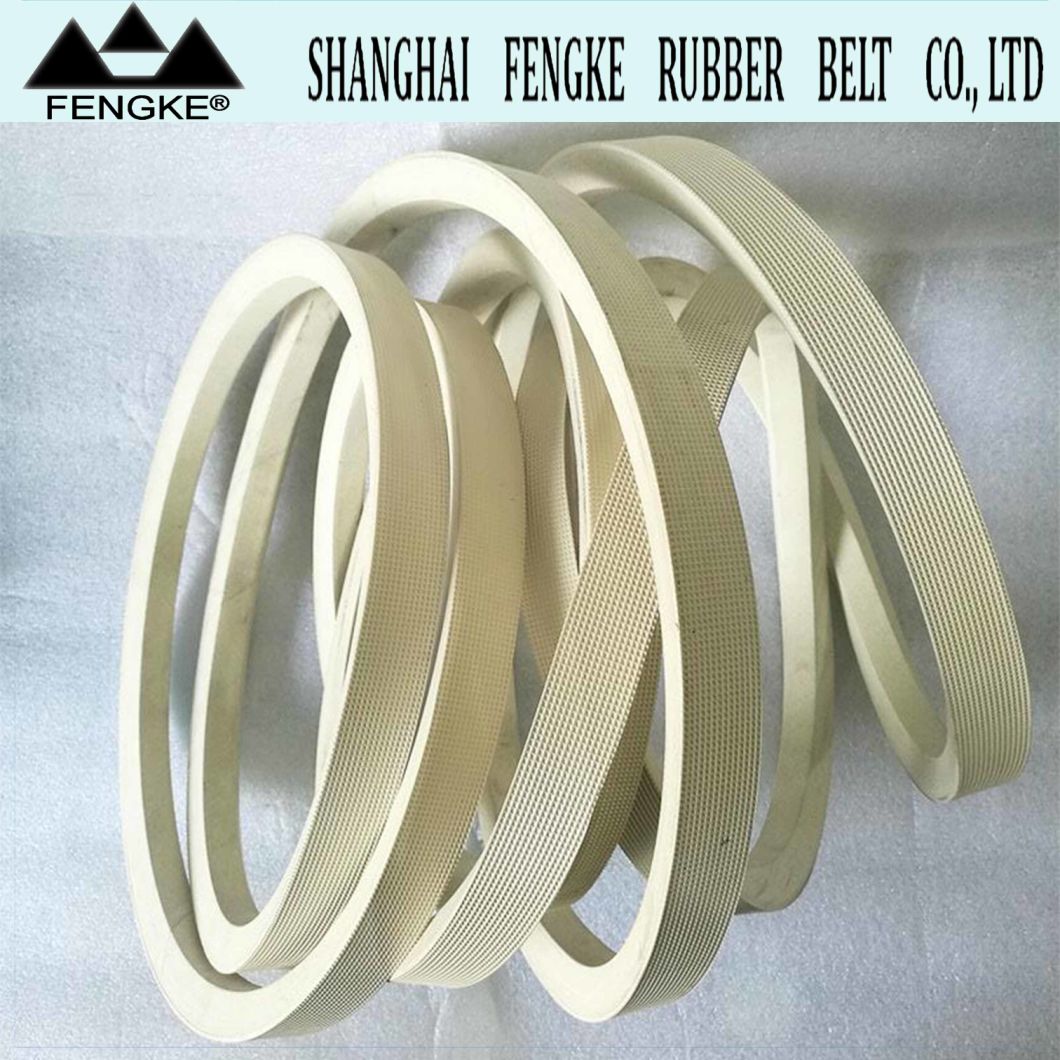 High Quality White Rubber V Belts 32X19X7650 for Wood Industry