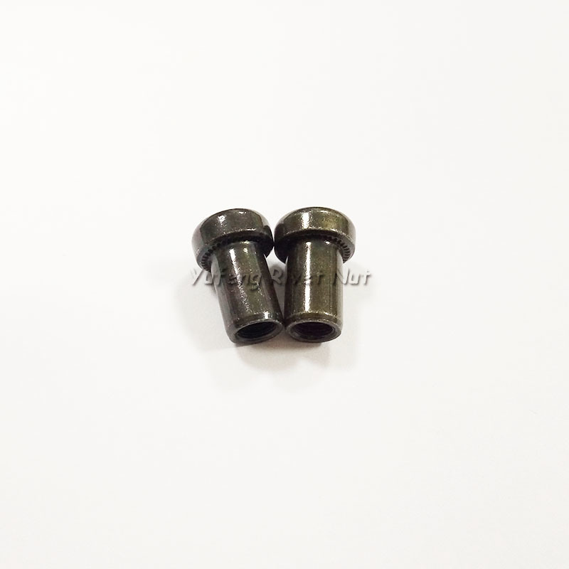 Black Zinc Large Flat Head Rivet Nut