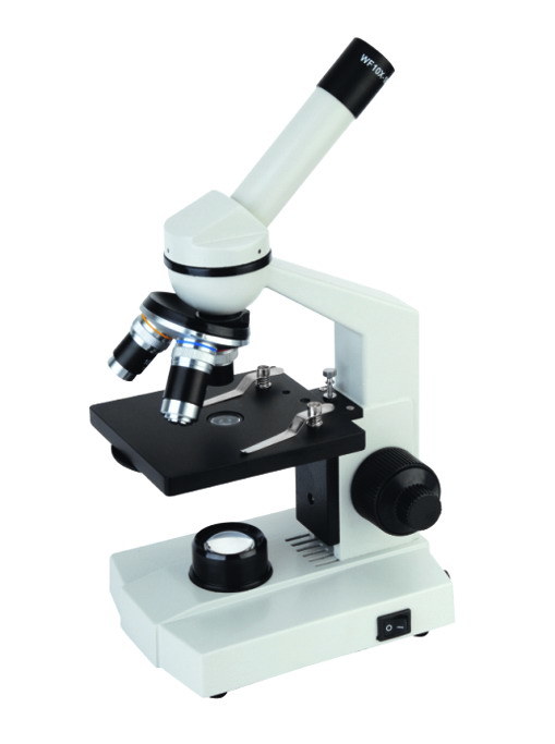 Low Price Biological Microscope Binocular/ Microscope for School and Lab (MSLPB20)