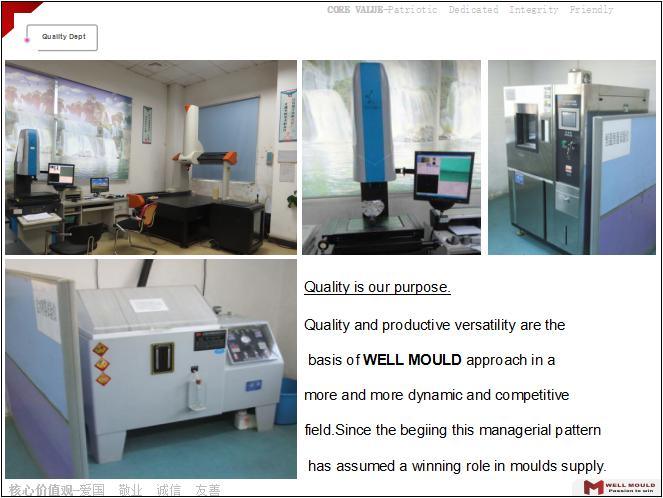 Precision Home Appliance Mould for Homeused Injection Mould