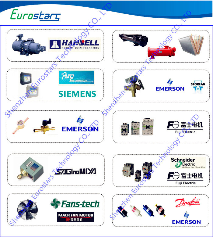 Ce Certifcated Low Ambient Temp. Cooling and Heating Air Cooled Chiller