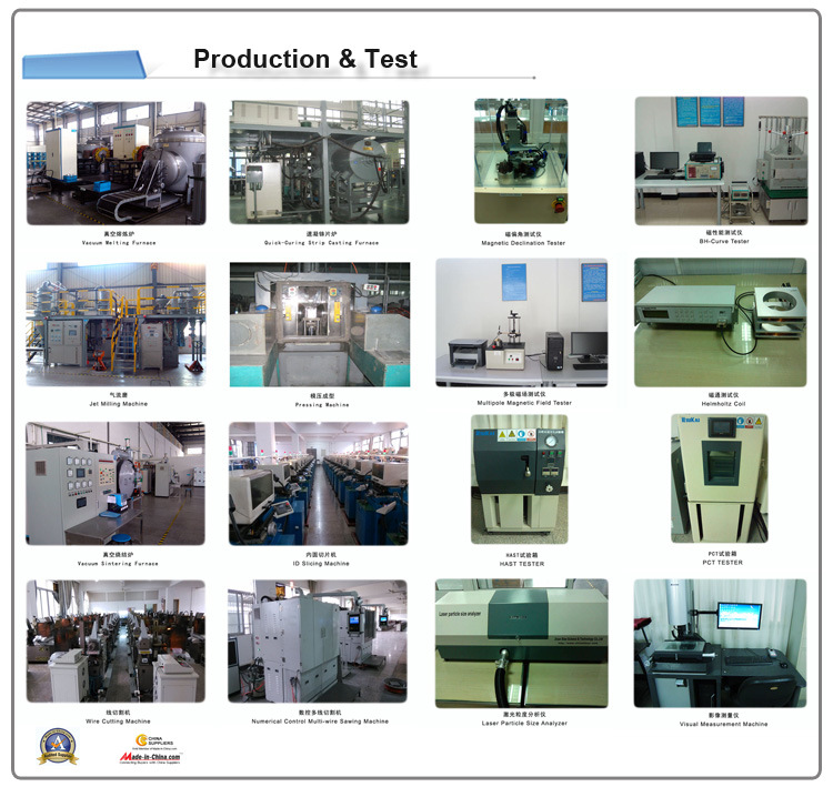 ISO/Ts 16949 Certificated Customized Permanent Neodymium Magnets