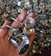 Hot Sale Roofing Nails, Common Nails, Coil Nails, Concrete Nails for Construction