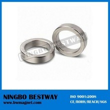 Large Ring Neodymium Magnets Speaker