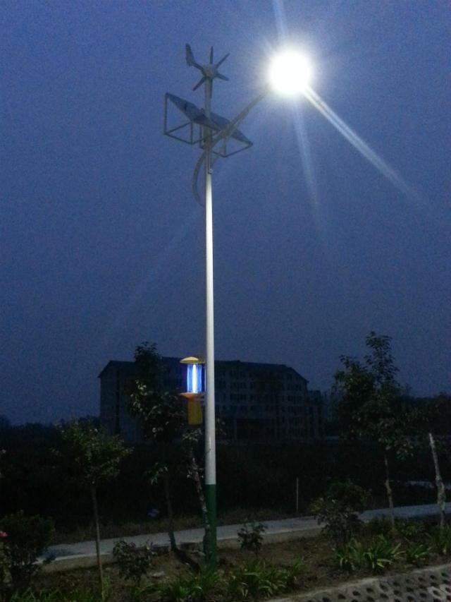 Factory Price 6m Pole 30W LED Solar Powered Street Light