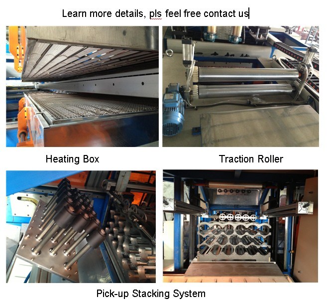 PP/PS/Pet Plastic Cup Forming Machine