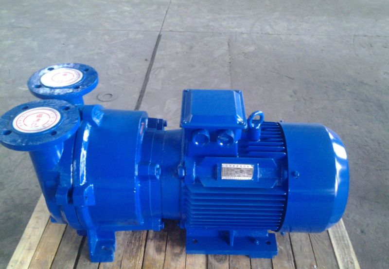 2BV Series Explosion-Proof Water Ring Vacuum Pump