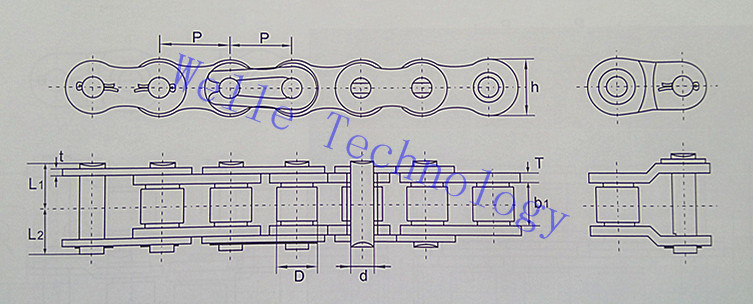 Stainless Steel Short Pitch Standard Roller Chains, DIN8187 DIN8188, Single / Double Rows