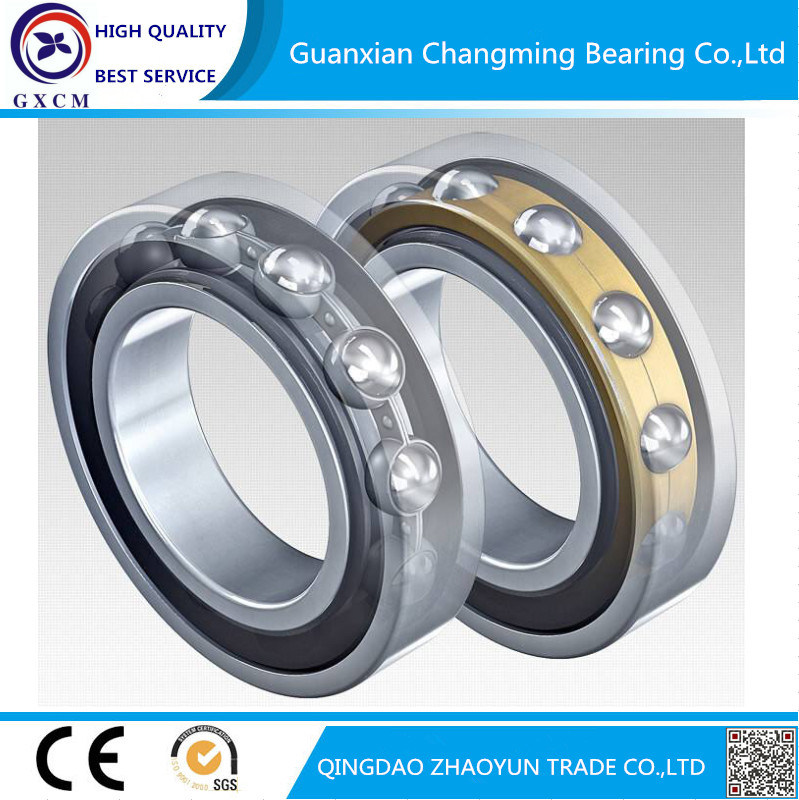 Great Quality Bearing Deep Groove Ball Bearings for Truck Parts