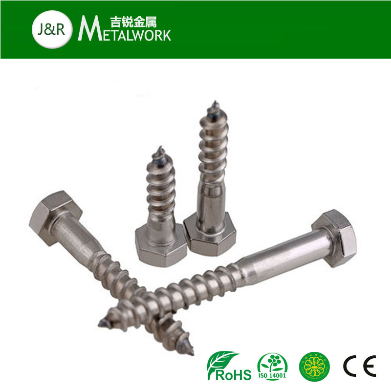A2 A4 Stainless Steel Ss304 Ss316 Hex Hexagon Head Self Tapping Coach Lag Wood Screw (DIN571)