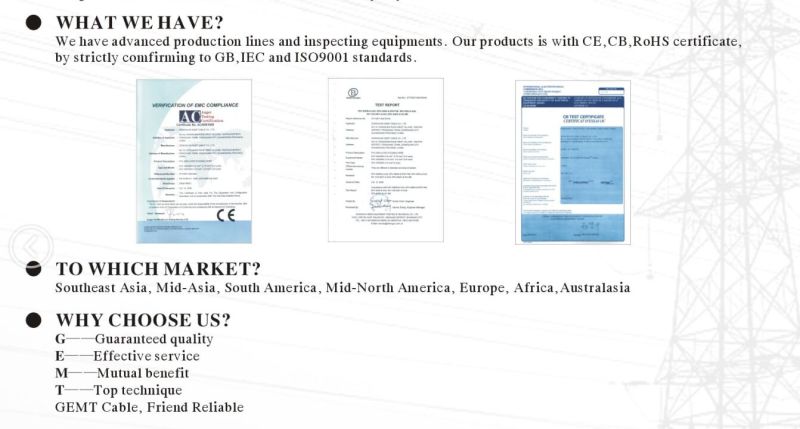 IEC Female End Type and Home Appliance Application AC Power Cords